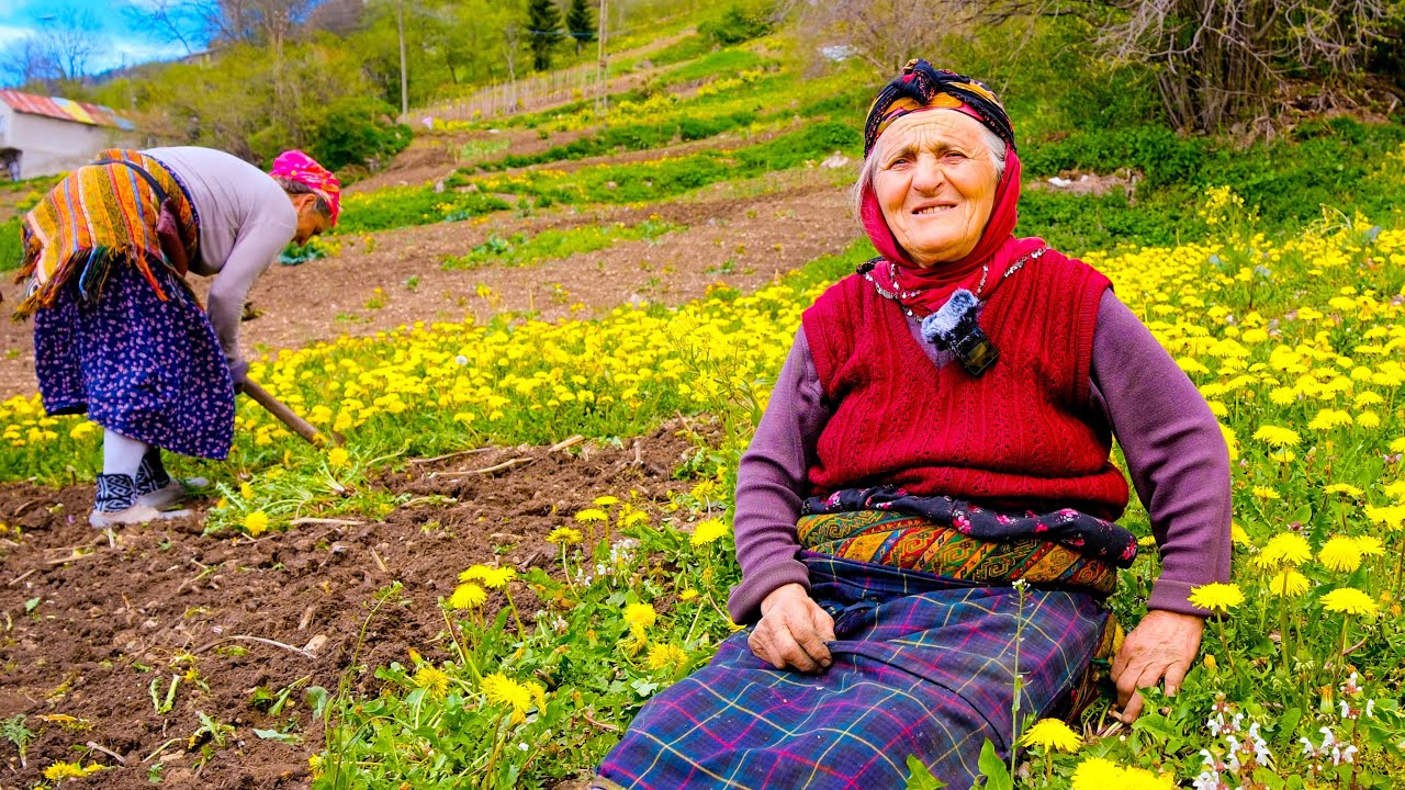 Yüksekteki Hayat I Karadeniz Bölgesi 