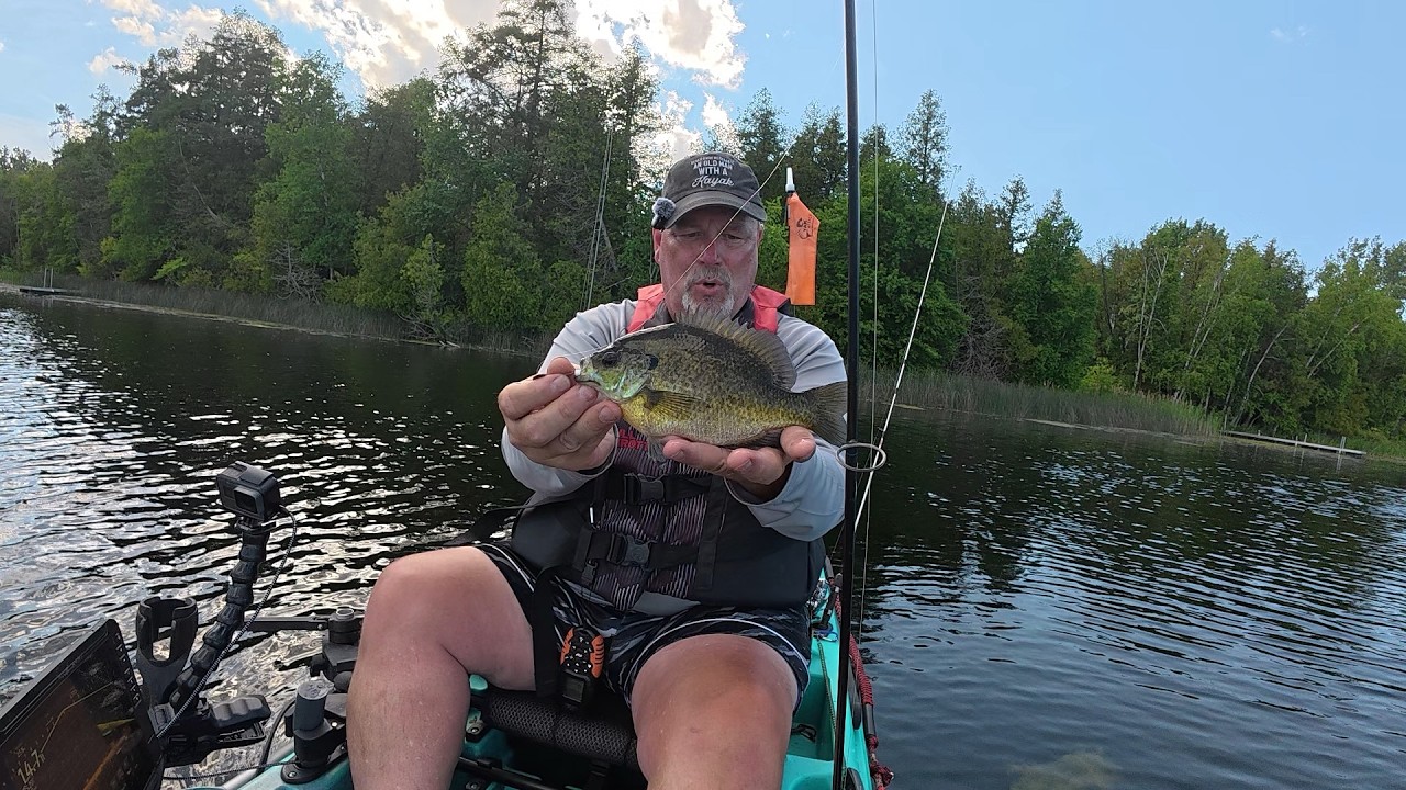First Time Fishing West Alaska Lake, Big Gills and Lots of Bass with Ultralight Tackle!