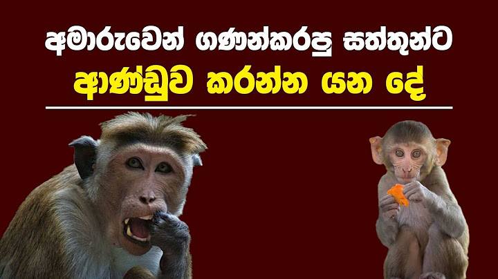 දසුන් ශානකට තර්ජනය ක‍ළ කෙරුමා තවත් ක්‍රීඩකයෙක් ද? | Kanin Konin @NethNewslk