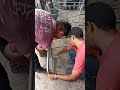 como armar jaulas de cerdos