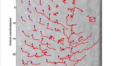 Particle Tracking using MAGICgeo