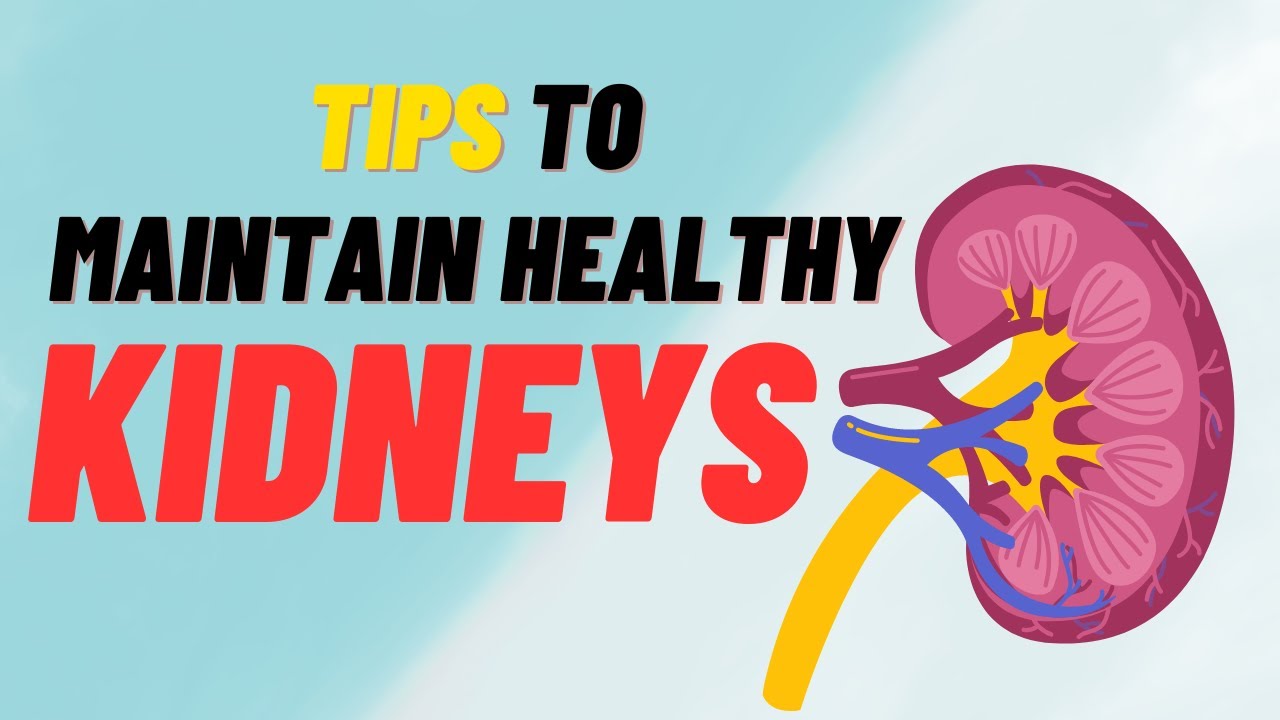 Tips to maintain health kidney YouTube