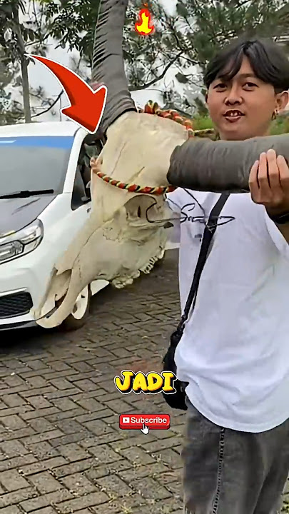 pesanan BANTENGAN BERBENTUK FOSIL/TULANG #trending #bantenganviral #bantenganmalang #jawatimur