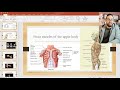 Anatomy And Kinesiology For Chest And Shoulder تشريح و علم حركة عضلات الصدر و الكتف من كورس التشريح 