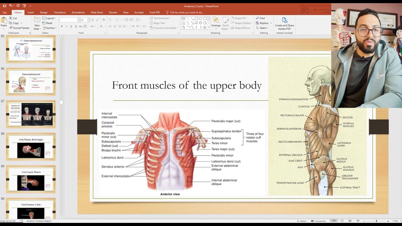 Anatomy and kinesiology for Chest And Shoulder -تشريح و علم حركة عضلات ...