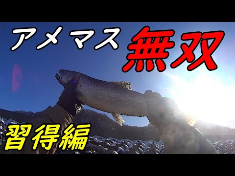 島牧村アメマスダービー2025チャレンジ！！(習得編)