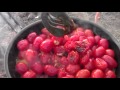 Firebox Outdoor Cooking Fun! Garden Spaghetti Dinner in the Sage Brush with Emma.