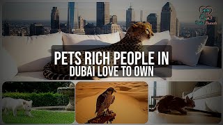 The Exotic Pets Of Dubais Billionaires