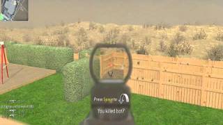 1000 Killstreak on cod4