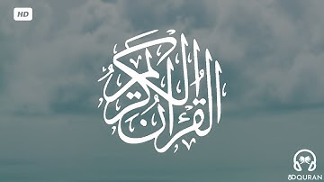 قرآن كريم بصوت رعد الكردي | حالات واتس اب دينية - سورة التغابن