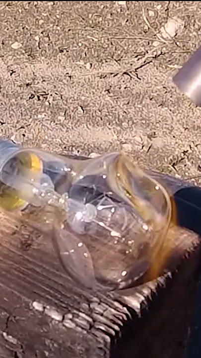 EXPERIMENT: Gas Torch VS light Bulb #shorts