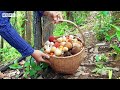 Family Farm | Harvesting wild mushroom, cook braised meat, stir-fried mushrooms and bell peppers