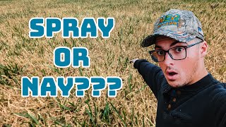 Can I Spray N-Ext Products on Heat Stressed Turf? // N-Ext™ DIY Lawn Care Tips by N-Ext DIY Lawn 3,251 views 10 months ago 2 minutes, 11 seconds