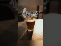 HOW TO CREATE SMOKE BRUSH COFFEE || BRUSH CREATE IN PHOTOSHOP.