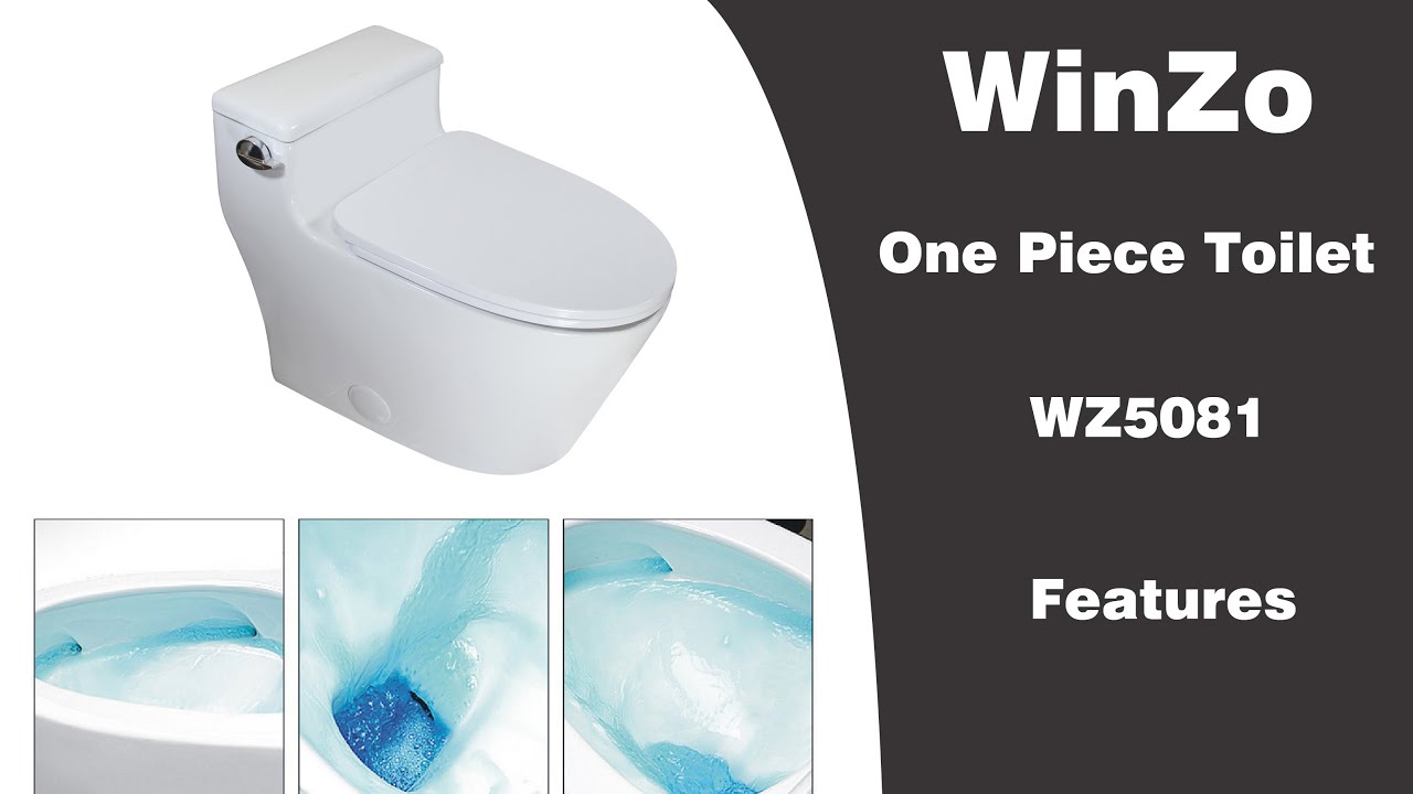 WinZo WZ5081 Elongated One Piece Toilet Low Profile Single Flush