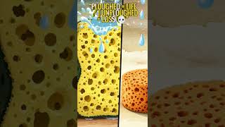 Why Farmers Plough Soil? Sponge Test at Home 🔥 #Class8Science #CropProduction #FarmersLife