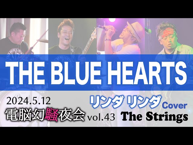 リンダリンダ / THE BLUE HEARTS【Cover】The Strings Live 電脳幻騒