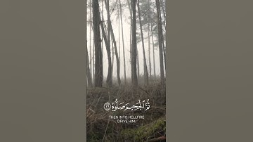 تلاوة خاشعة جميلة بصوت ماهر المعيقلي | سورة الحاقة