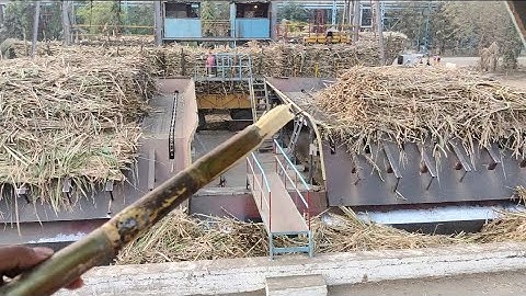sugar factory video ! sugar making in sugar mill manufacturing process