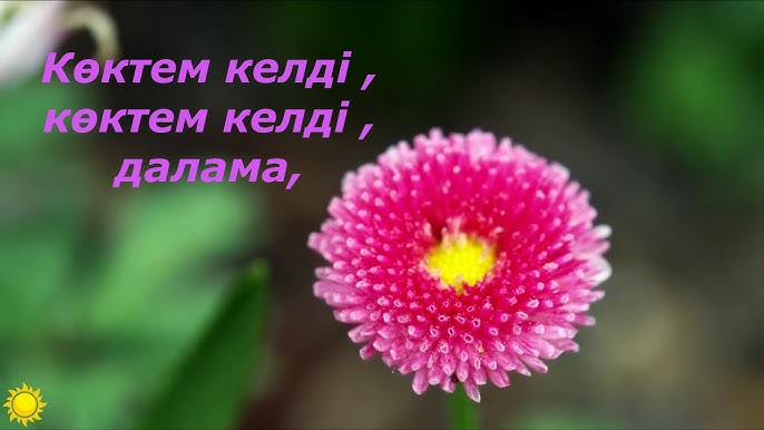 Бориславтағы ақша үшін секс