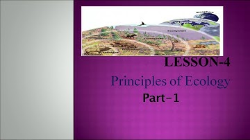 4 Principles of Ecology Part 1 Sr. Secondary 333