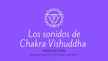 ¿Qué chakra tiene 16 pétalos?