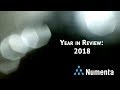 Numenta's 2018 Year in Review