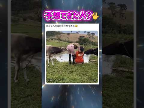 笑いすぎたwww #shorts #おもしろ動画 #バズれのサムネイル