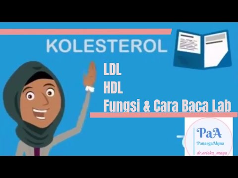 Video: Bagaimana Memahami Perbezaan Antara Kolesterol HDL dan LDL