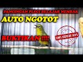 PANCINGAN PLECI BELAJAR NEMBAK , COCOK UNTUK PLECI BAHAN, LANGSUNG NGOTOT !!!