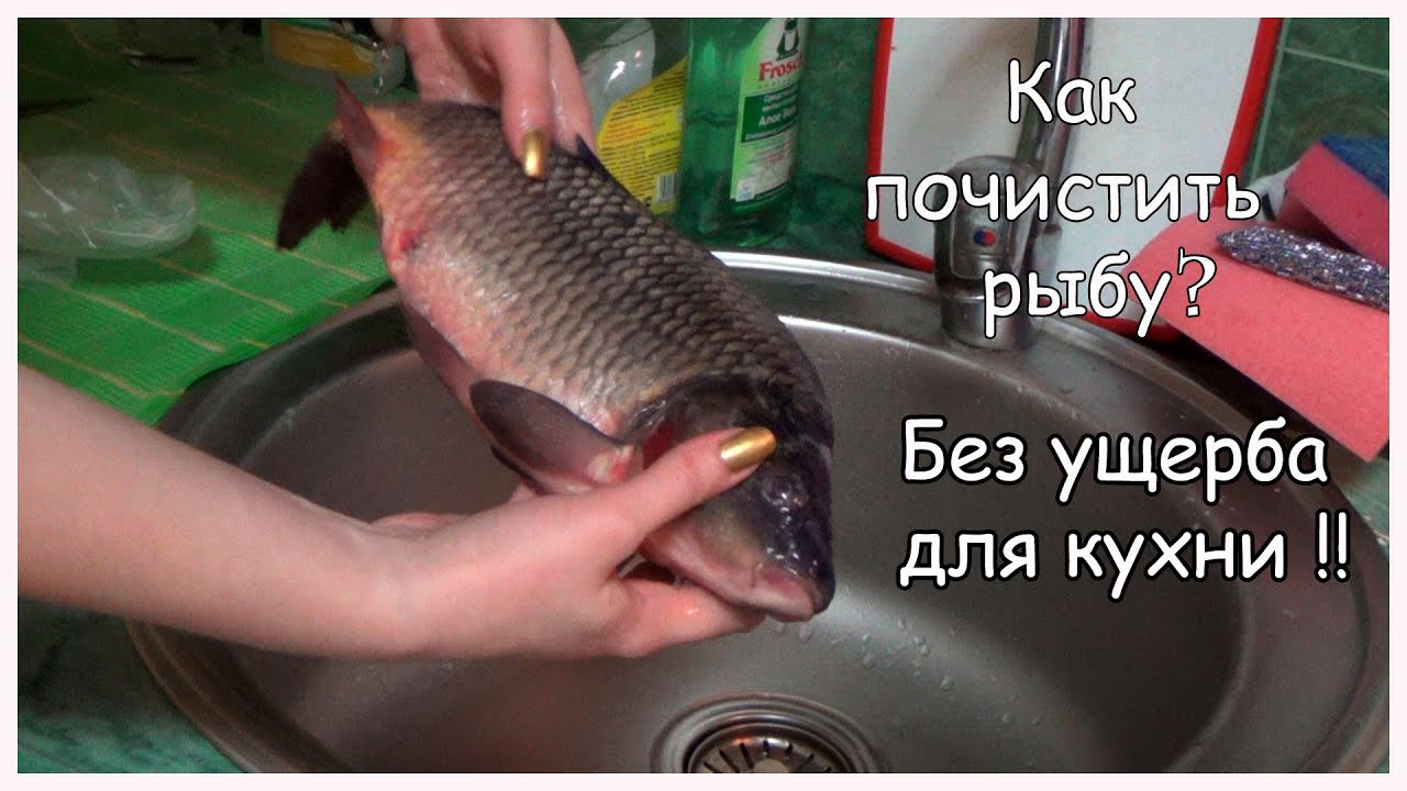 Мастер класс по очистке и разделки рыбы - YouTube