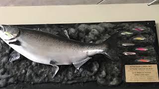 New York salmon fish Hatchery