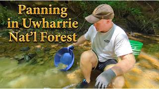 Reduced to Panhandling in Uwharrie