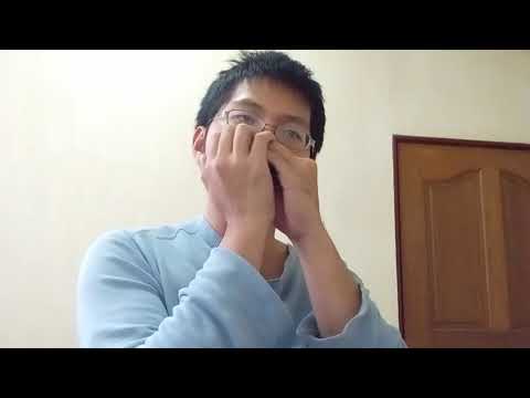 The King of  faeries on Harmonica