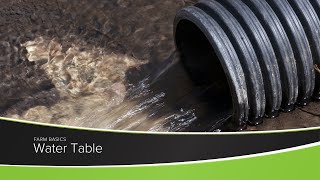 Water Table