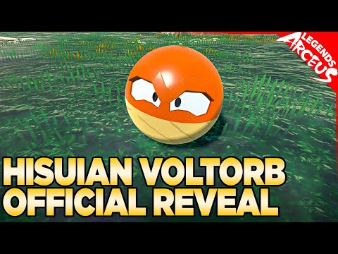 Pokemon Legends: Arceus' Hisuian Voltorb is a 'Chicken or Egg