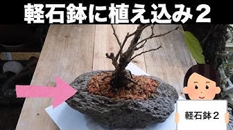 軽石 Youtube