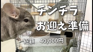 【飼い方】チンチラのお迎え準備　必要なものやケージのレイアウト紹介