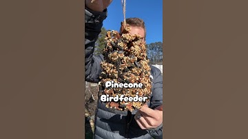 DIY Pinecone Bird Feeder #diy #birdfeeder