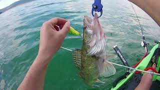 Тролинг на бяла риба с каяк   Trolling Walleye 2