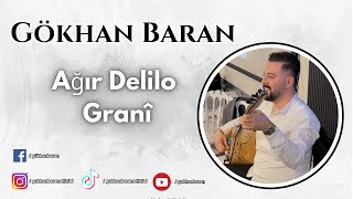 Gökhan BARAN - Ağır Delilo Grani 2024 #gokhanbaran #agirdelilo #grani #almanya #halay #diyarbakır Resimi