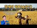 참새의하루 송창식 커버 장락 참새의하루 송창식 커버 장락
