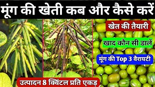 मूंग की खेती कब और कैसे करें | गर्मी में मूंग की खेती कैसे करें |  Mung Bean Farming In India