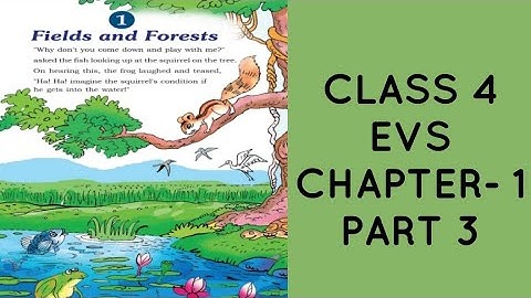 KERALA SYLLABUS CLASS 4 EVS CHAPTER 1 "FIELDS AND FORESTS" PART 3