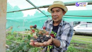 คนไทยหัวใจเกษตร 30 กรกฎาคม 2563 B2