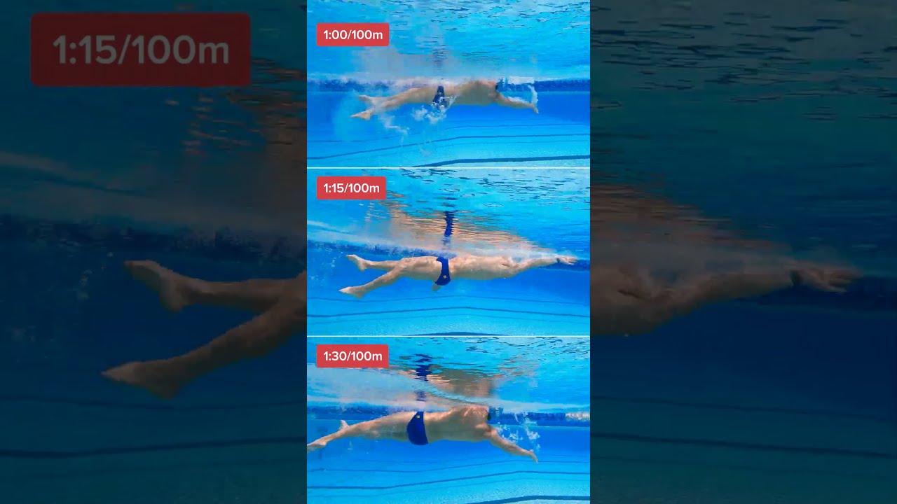 Spot The Difference Between These Three Backstroke Speeds 