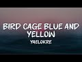 yaelokre - bird cage blue and yellow (lyrics)
