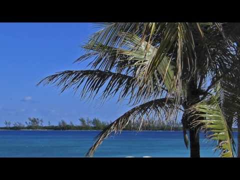 Vídeo: Tempo e Clima nas Bahamas