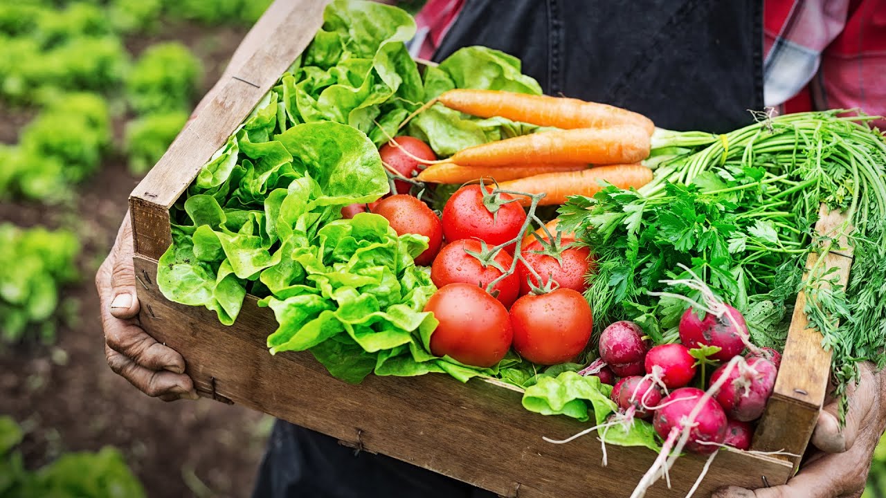 Certificación de producción orgánica de alimentos