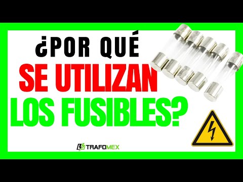 Video: Qué alimentar a un pollo en los primeros días de su vida